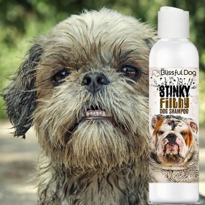Image showing  Stinky Filthy Dog Shampoo