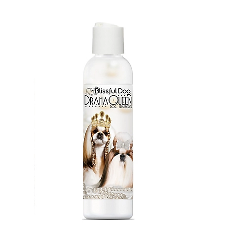The Blissful Dog Drama Queen Dog Shampoo, 8 oz