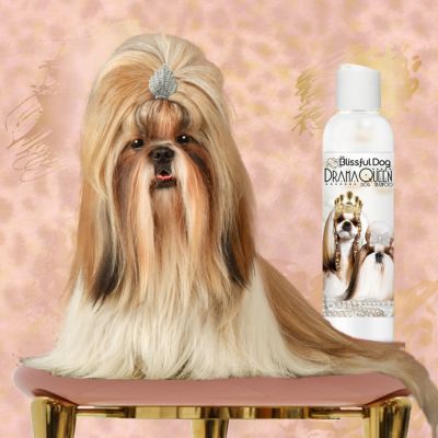 Image showing  Drama Queen Dog Shampoo, 8 oz.