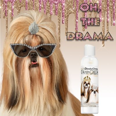 Image showing  Drama Queen Dog Shampoo, 8 oz.
