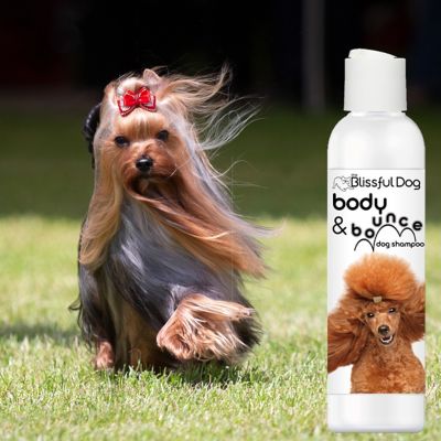 Image showing  Body and Bounce Dog Shampoo, 8 oz.