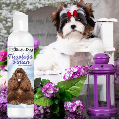 Image showing  Flawless Finish Coat Conditioner for Dogs