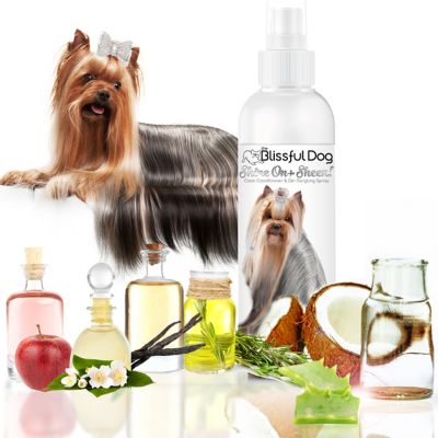 Image showing  Shine-On + Sheen Dog Coat Conditioner & De-Tangling Spray, 8 oz