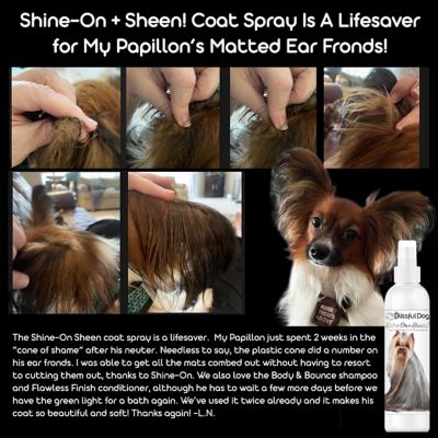 Image showing  Shine-On + Sheen Dog Coat Conditioner & De-Tangling Spray, 8 oz