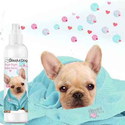 Image showing  Bye Bye Boo Boo Dog Spray, 8 oz