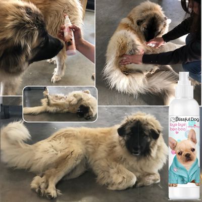 Image showing  Bye Bye Boo Boo Dog Spray, 8 oz