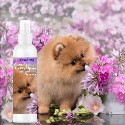 Image showing  Simply Everything Fresh Deodorizing Spray