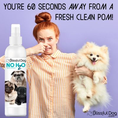 Image showing  No H2O Spray Pet Shampoo