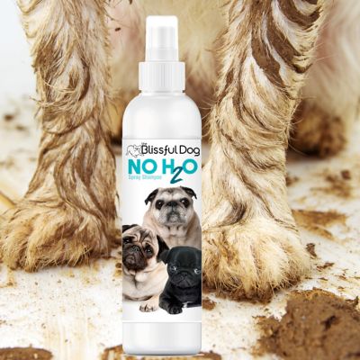 Image showing  No H2O Spray Pet Shampoo