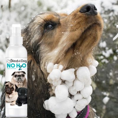 Image showing  No H2O Spray Pet Shampoo