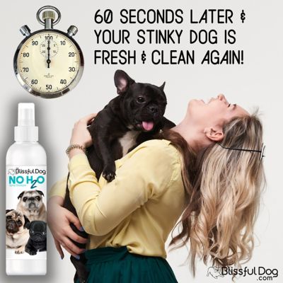 Image showing  No H2O Spray Pet Shampoo