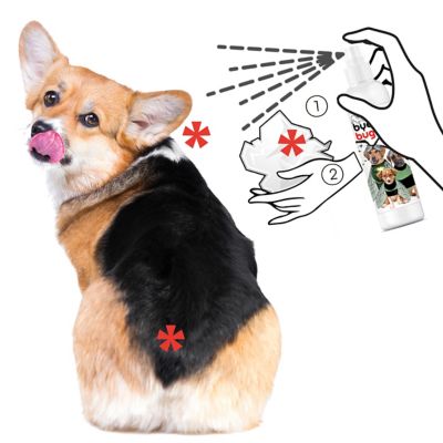 Image showing  Bye Bye Bug Spray for Dogs, 8 oz.