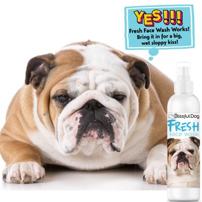 Image showing  Fresh Face Wash Dog Spray, 8 oz.