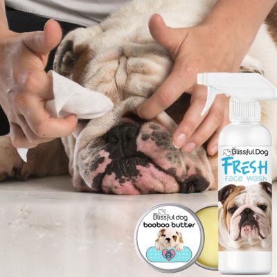 Image showing  Fresh Face Wash Dog Spray, 8 oz.