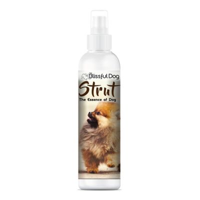 The Blissful Dog Strut Canine Cologne