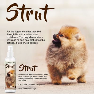 Image showing  Strut Canine Cologne