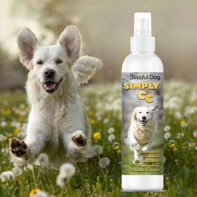 Image showing  Simply CC Canine Cologne, 8 oz.