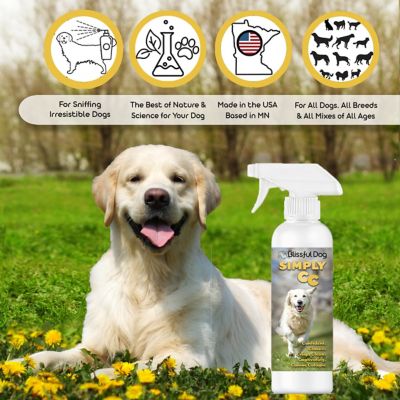 Image showing  Simply CC Canine Cologne, 8 oz.