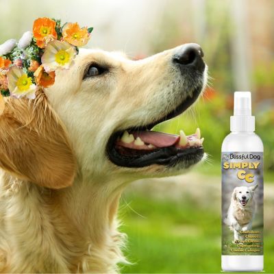 Image showing  Simply CC Canine Cologne, 8 oz.