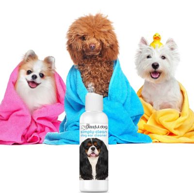 Image showing 5 th The Blissful Dog Simply Clean Ear Cleaner for Dogs