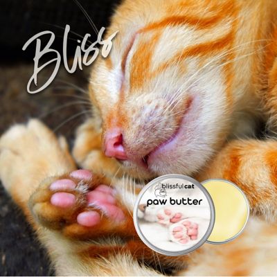 Image showing  Paw Butter for Cats, 2 oz Tin
