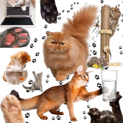 Image showing  Paw Butter for Cats, 0.50 oz. Tube