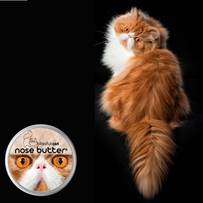 Image showing  Nose Butter for Cats, 2 oz. Tin