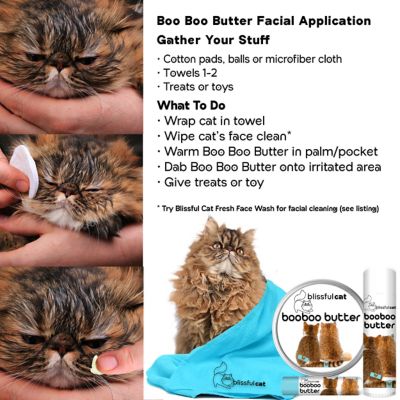 Image showing 5 th The Blissful Dog Boo Boo Butter for Cats, 2 oz. Tin