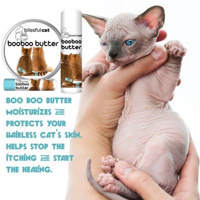 Image showing 6 th The Blissful Dog Boo Boo Butter for Cats, 2 oz. Tin