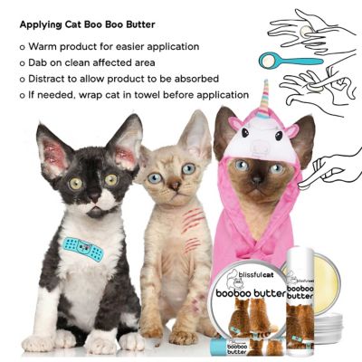 Image showing 7 th The Blissful Dog Boo Boo Butter for Cats, 2 oz. Tin