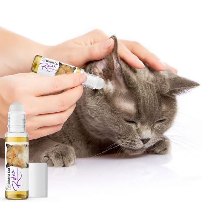 Image showing  Relax Cat Aromatherapy Roll On