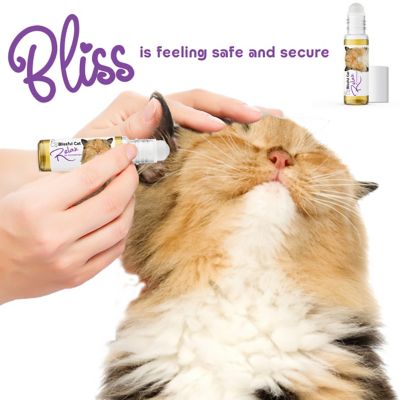 Image showing  Relax Cat Aromatherapy Roll On