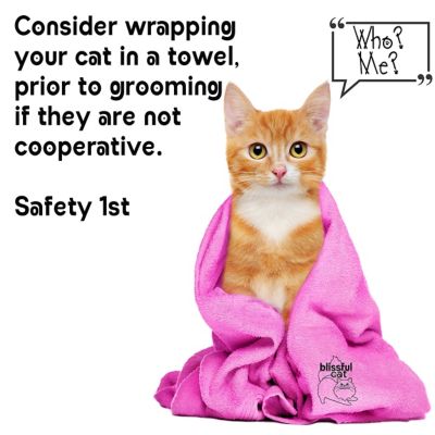 Image showing 6 th The Blissful Dog Simply Clean Ear Cleaner for Cats, 4 oz.