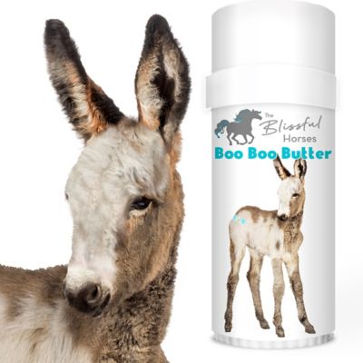 Image showing  Boo Boo Butter for Horses, 2.25 oz. Tube