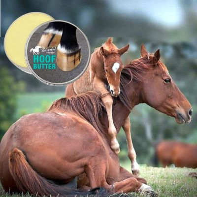 Image showing  Hoof Butter for Horses