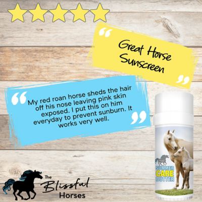 Image showing 5 th The Blissful Dog Summer Care Butter for Horses, 2.25 oz. Tube