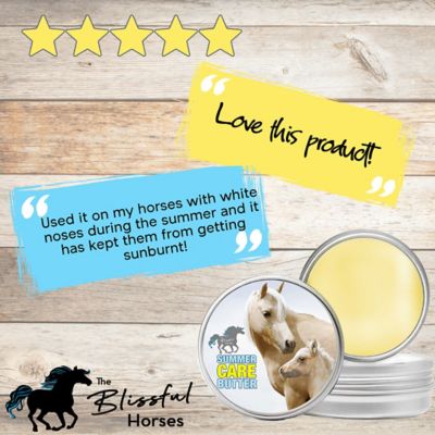 Image showing 6 th The Blissful Dog Summer Care Butter for Horses, 2.25 oz. Tube