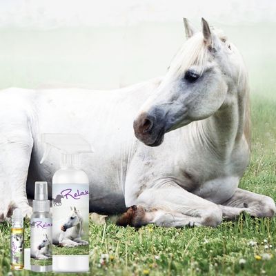 Image showing  Relax Horse Aromatherapy Roll On