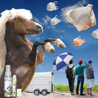 Image showing  Relax Horse Aromatherapy Roll On