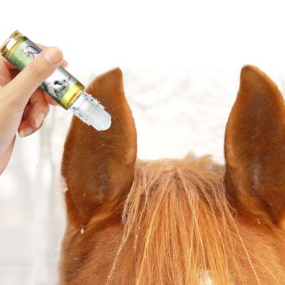 Image showing  Relax Horse Aromatherapy Roll On