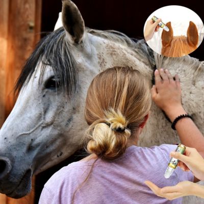 Image showing 5 th The Blissful Dog Relax Horse Aromatherapy Roll On