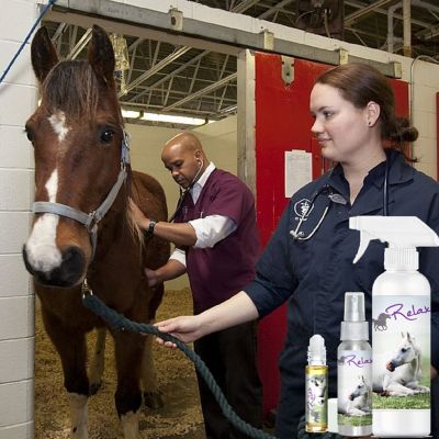 Image showing  Relax Horse Aromatherapy