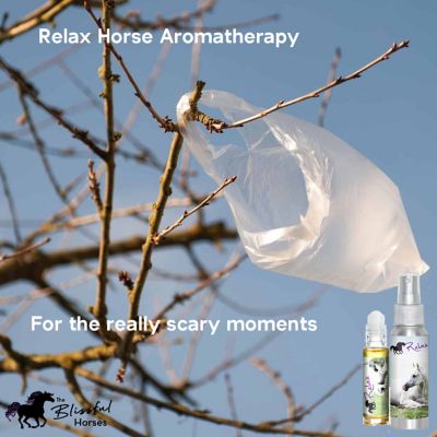 Image showing  Relax Horse Aromatherapy