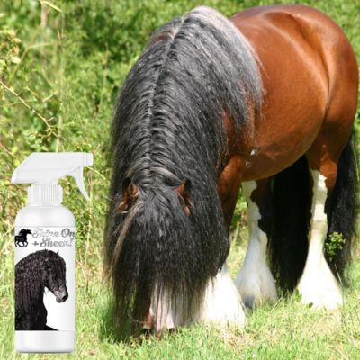 Image showing  Shine-On + Sheen Dog Horse Mane & Tail Conditioner & De-Tangling Spray