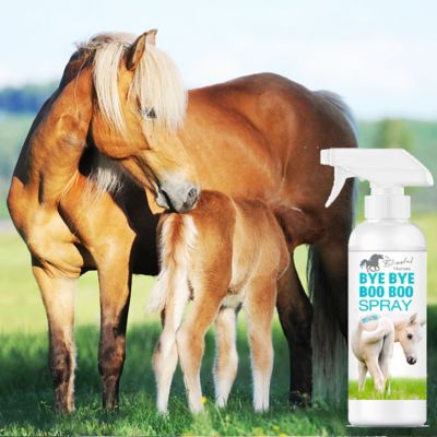 Image showing  Bye Bye Boo Boo Horse Spray, 16 oz.