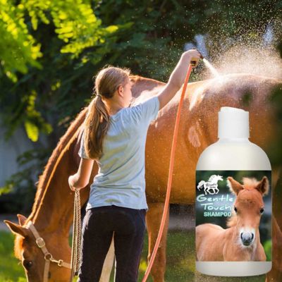 Image showing  Gentle Touch Horse Shampoo