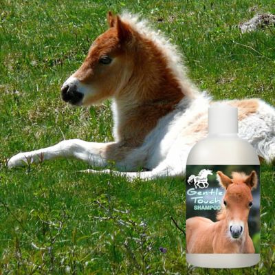 Image showing  Gentle Touch Horse Shampoo