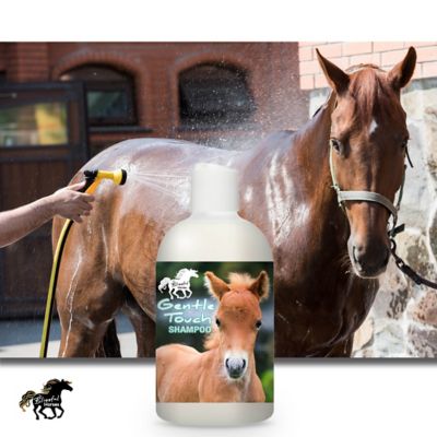 Image showing  Gentle Touch Horse Shampoo