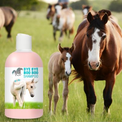 Image showing  Bye Bye Boo Boo Horse Shampoo, 16 oz.