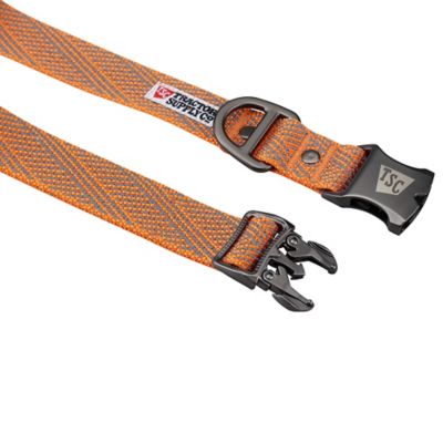 Image showing  Medium Reflective Dog Collar